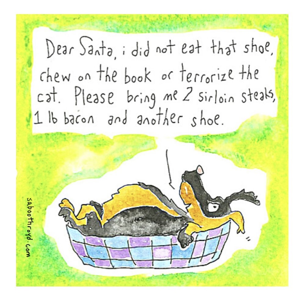 
                  
                    Mini Card - Dear Santa, I did not eat that shoe...
                  
                